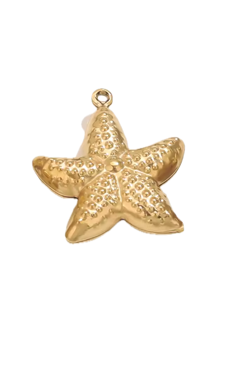 Charm 001- starfish A